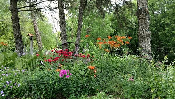 0.05 Acres of Land for Sale in Cokato, Minnesota