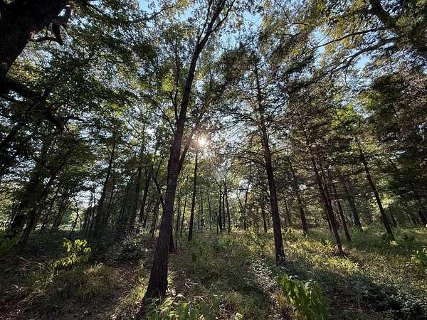 8.69 Acres of Land for Sale in Mineola, Texas