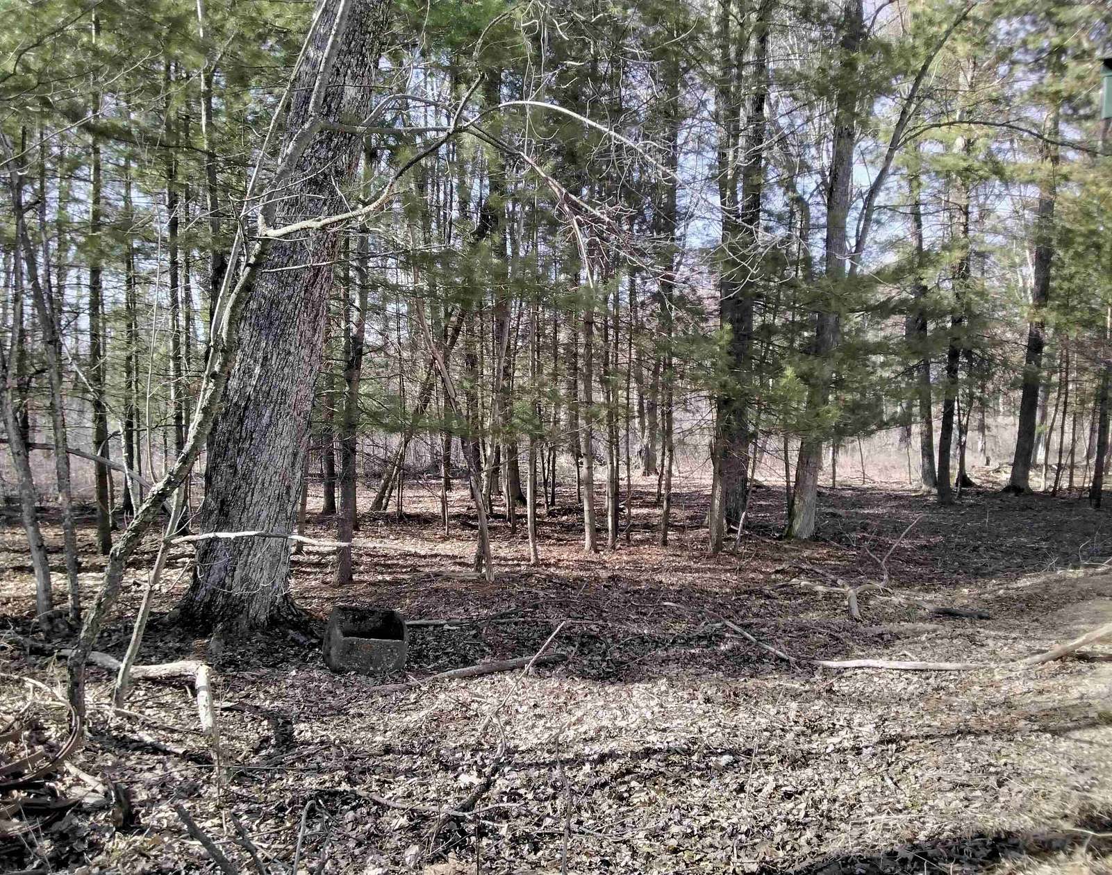 9 Acres of Residential Land for Sale in Neshkoro, Wisconsin