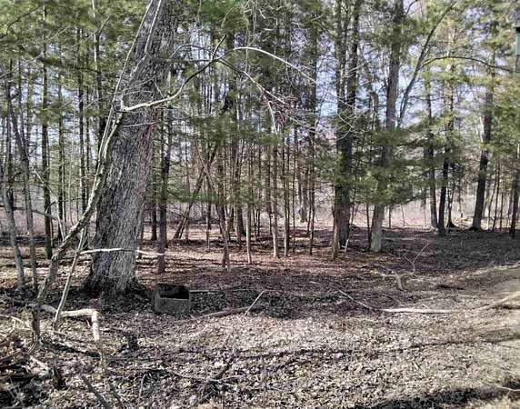 9 Acres of Residential Land for Sale in Neshkoro, Wisconsin