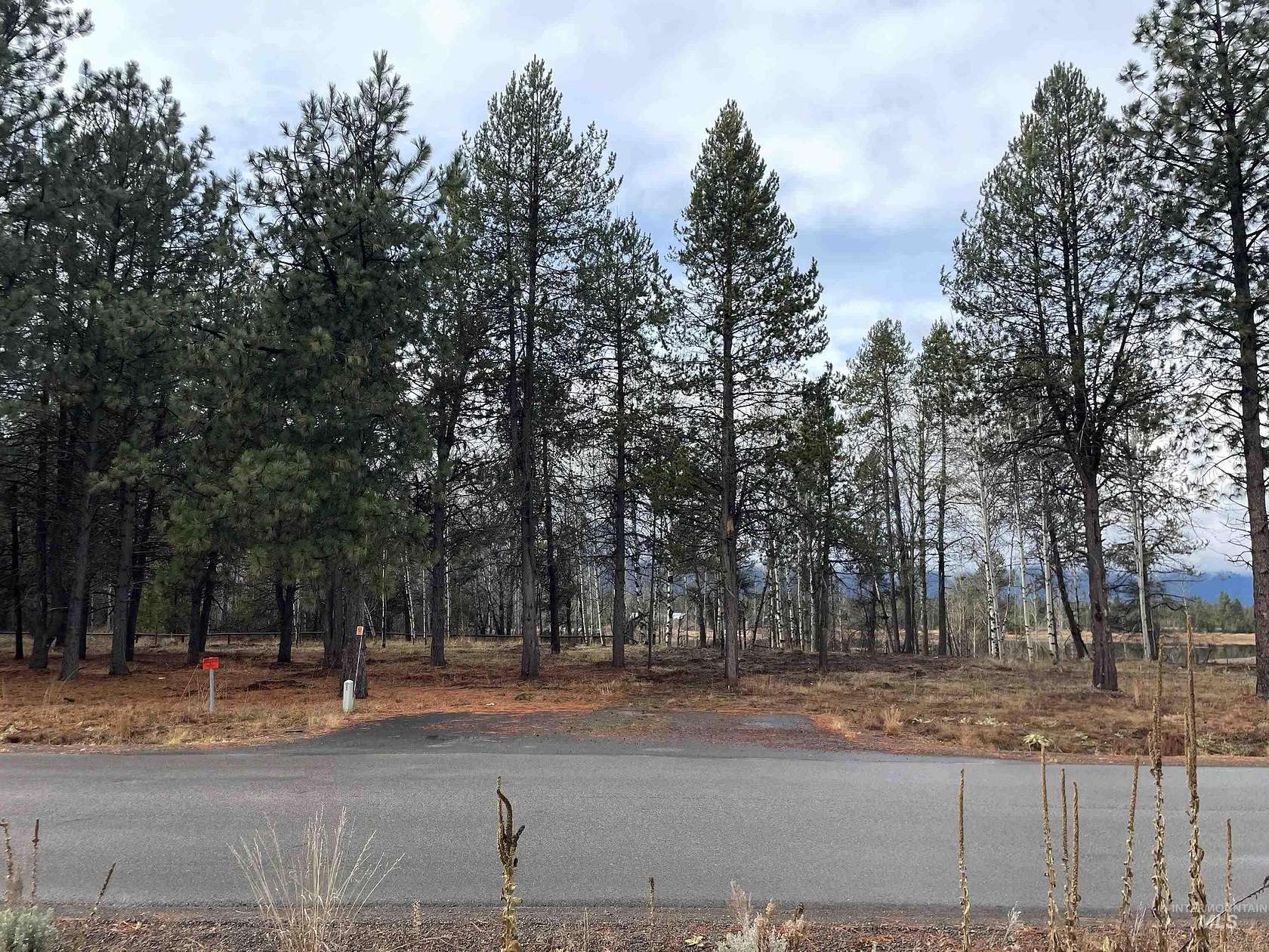 0.35 Acres of Residential Land for Sale in Donnelly, Idaho