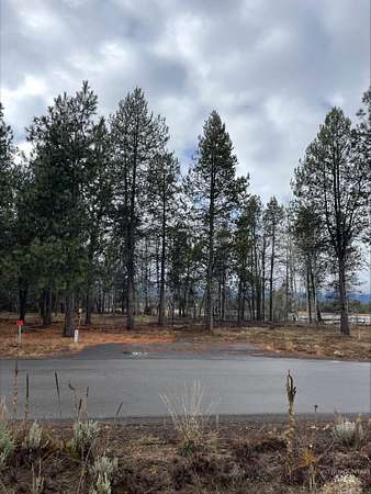 0.34 Acres of Residential Land for Sale in Donnelly, Idaho