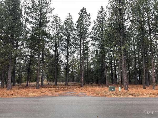 0.32 Acres of Residential Land for Sale in Donnelly, Idaho