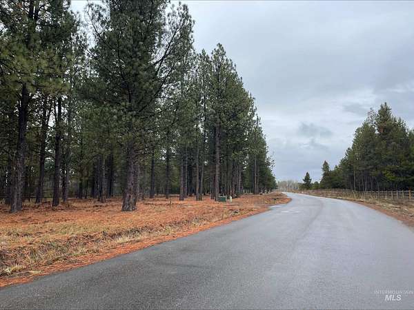 0.32 Acres of Residential Land for Sale in Donnelly, Idaho