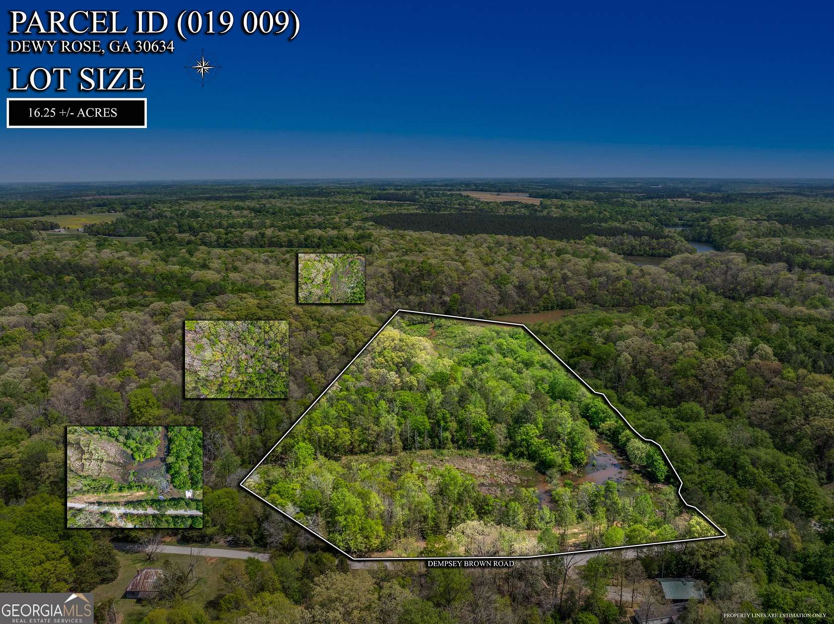 16.3 Acres of Land for Sale in Dewy Rose, Georgia