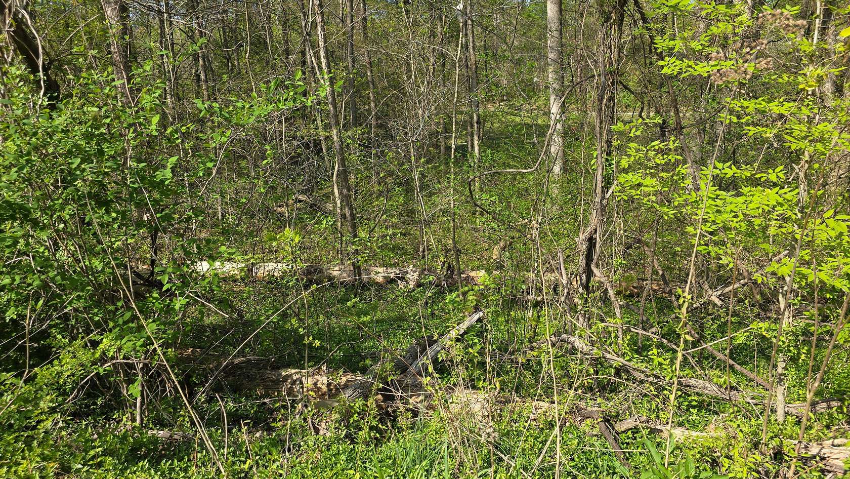 0.67 Acres of Residential Land for Sale in Somerset, Kentucky