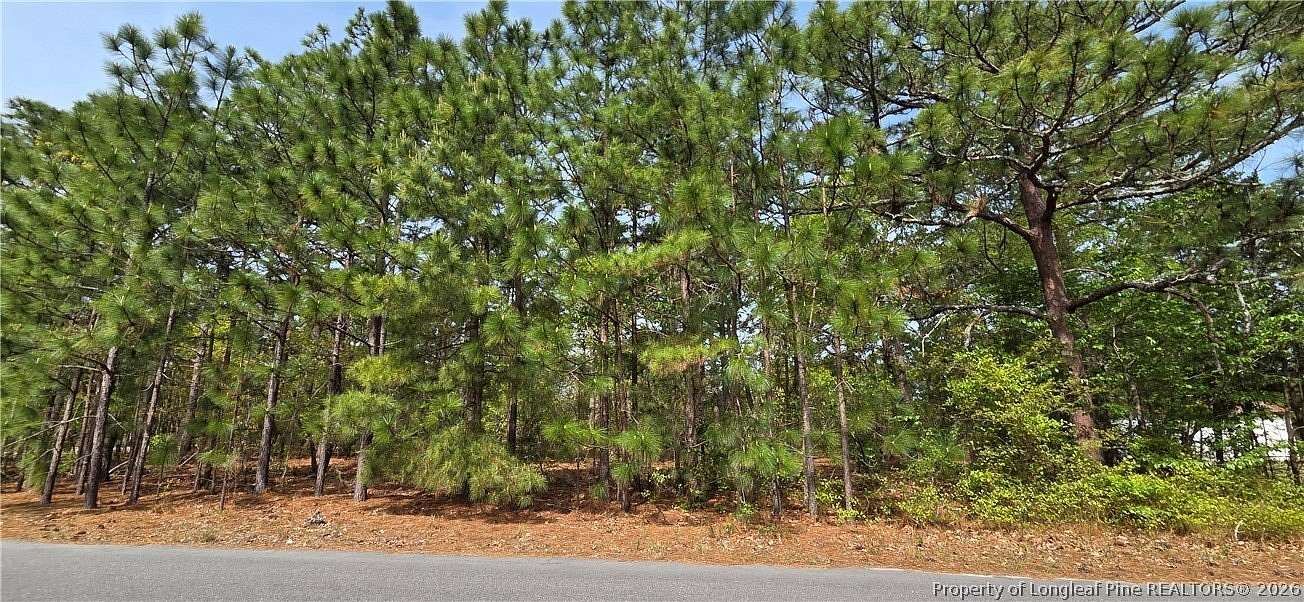 0.48 Acres of Residential Land for Sale in Fayetteville, North Carolina