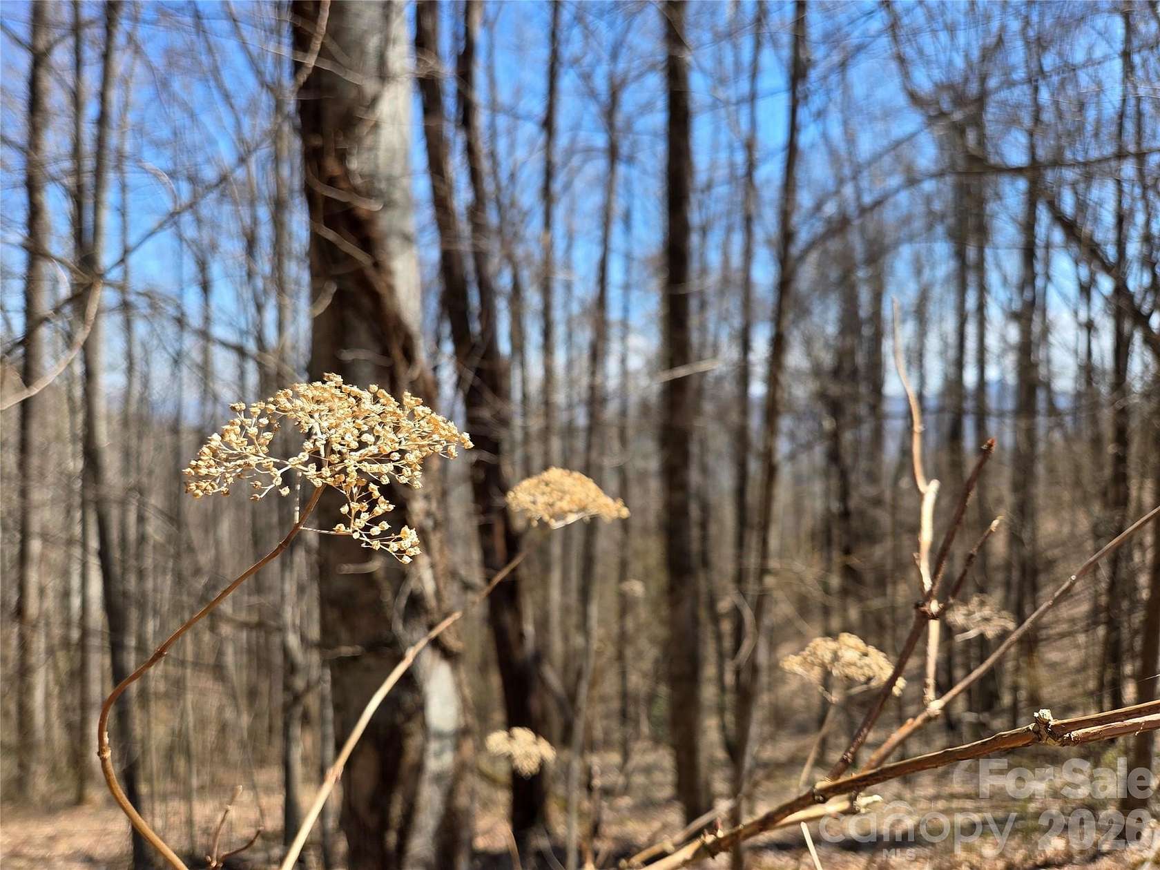1.1 Acres of Residential Land for Sale in Waynesville, North Carolina