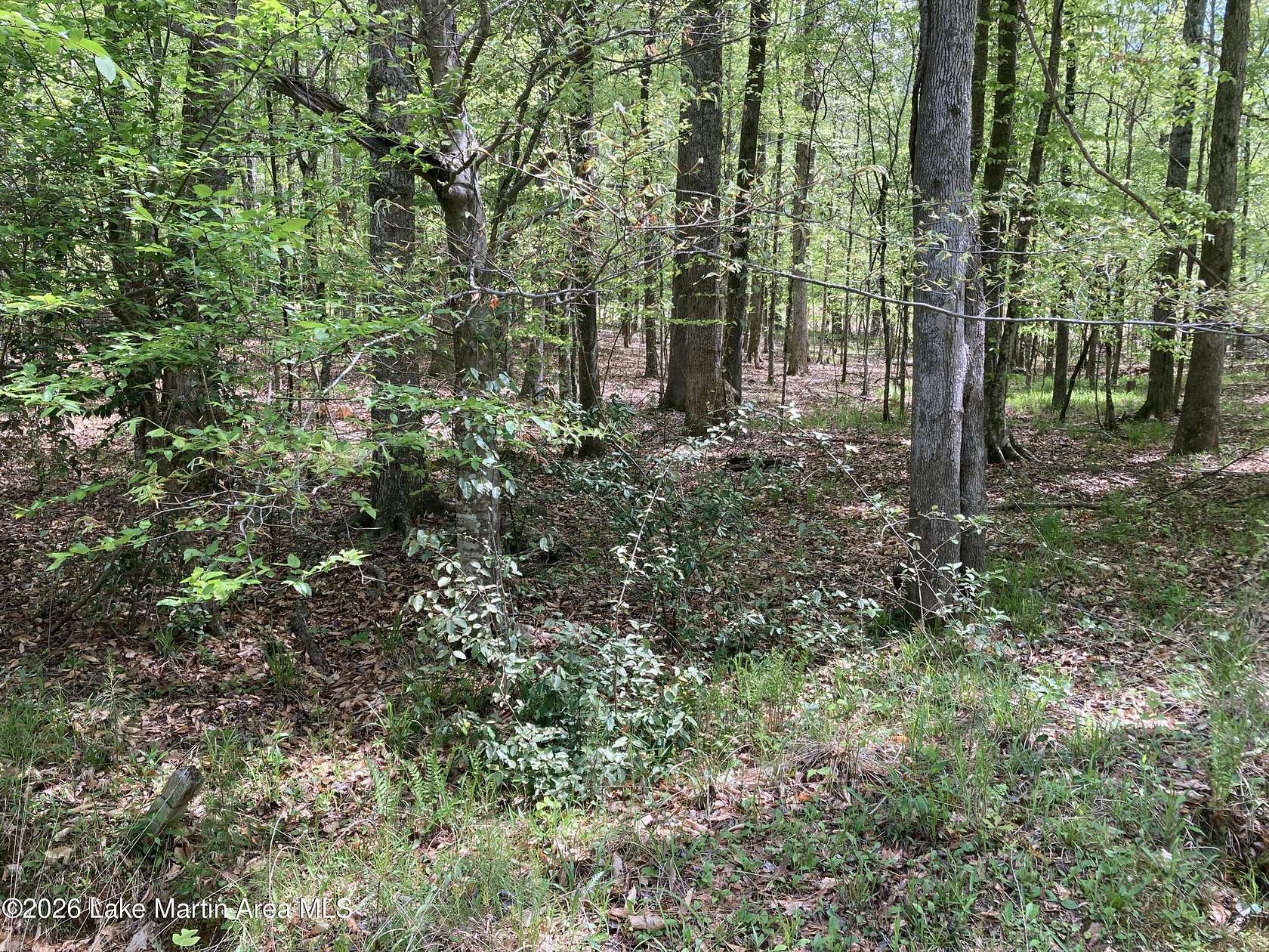 0.81 Acres of Residential Land for Sale in Dadeville, Alabama