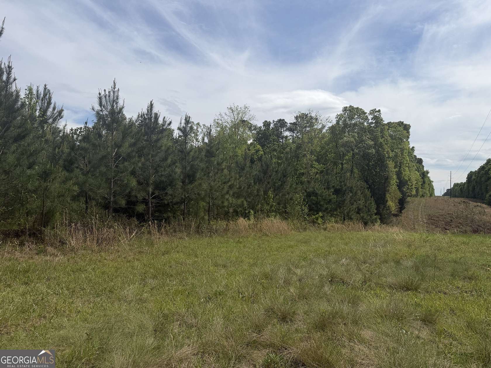 13.4 Acres of Recreational & Residential Land for Sale in Cuthbert, Georgia