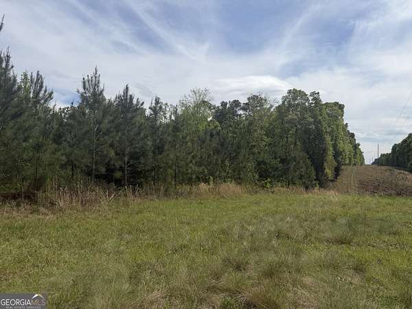 13.4 Acres of Recreational & Residential Land for Sale in Cuthbert, Georgia
