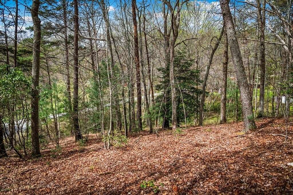 1.45 Acres of Residential Land for Sale in Mineral Bluff, Georgia