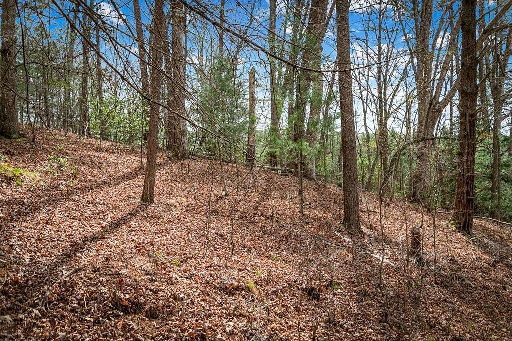 1.45 Acres of Residential Land for Sale in Mineral Bluff, Georgia