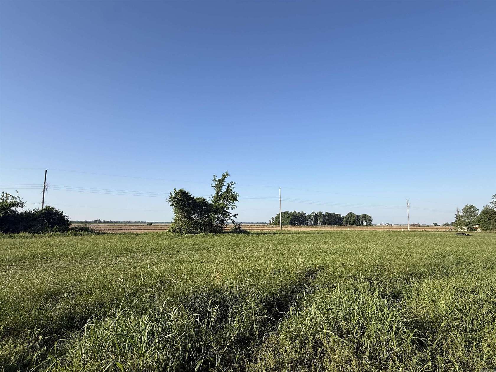 0.79 Acres of Residential Land for Sale in Corning, Arkansas