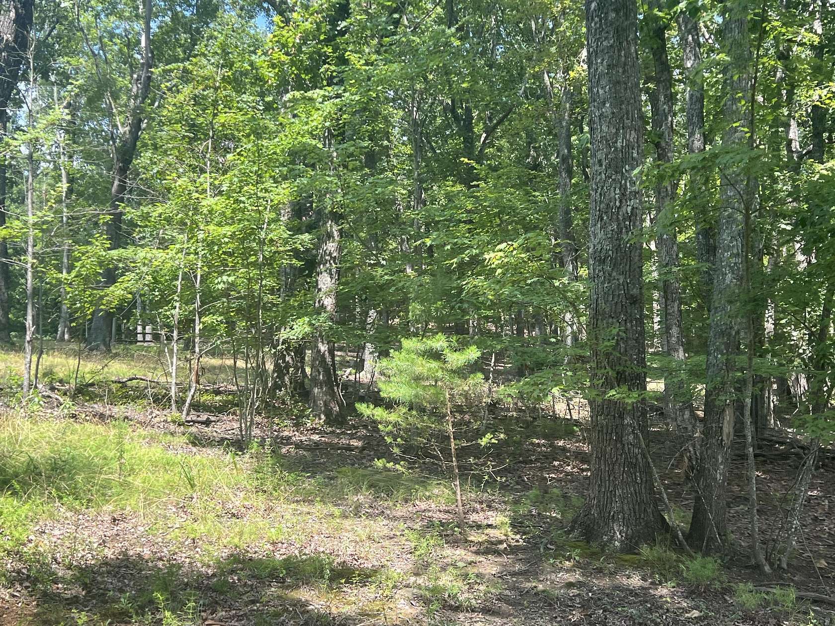 3.16 Acres of Residential Land for Sale in Lookout Mountain, Georgia