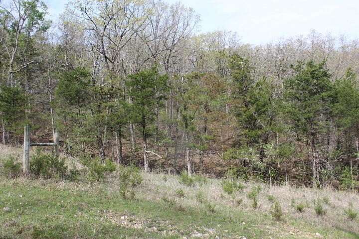 20 Acres of Recreational & Residential Land for Sale in Gainesville, Missouri