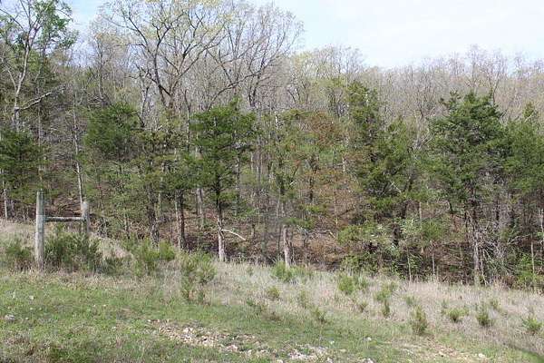 20 Acres of Recreational & Residential Land for Sale in Gainesville, Missouri
