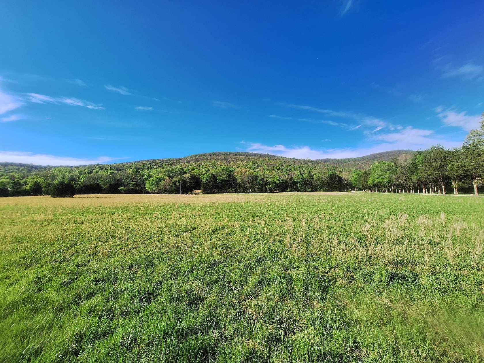 19.7 Acres of Land for Sale in Cowan, Tennessee