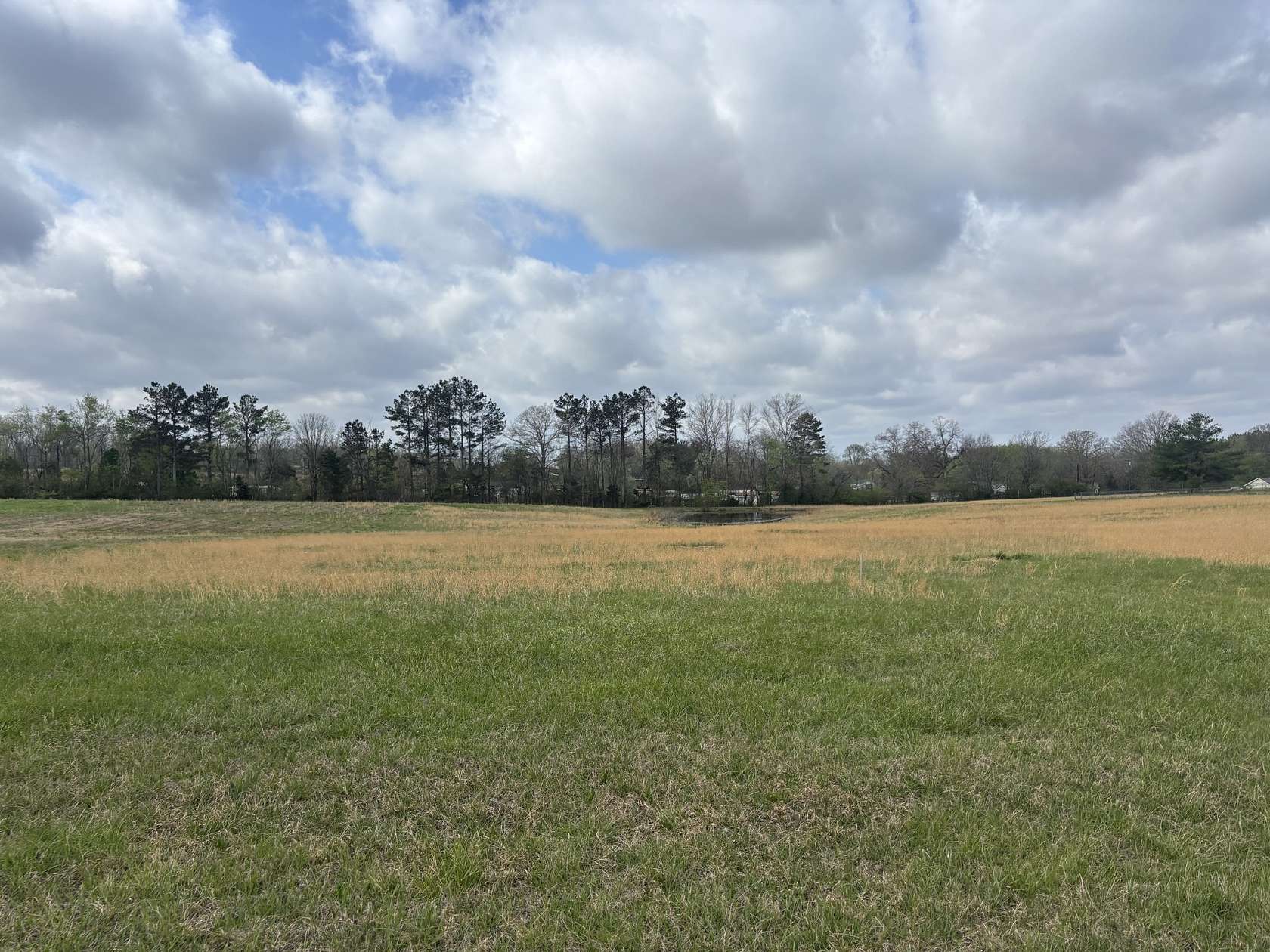 116 Acres of Land for Sale in Dickson, Tennessee