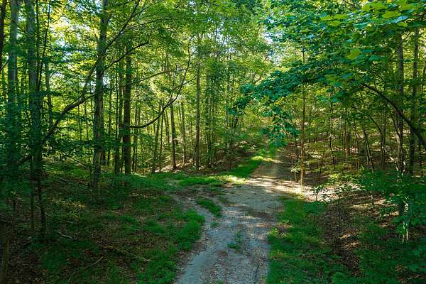 2.54 Acres of Residential Land for Sale in Smithville, Tennessee