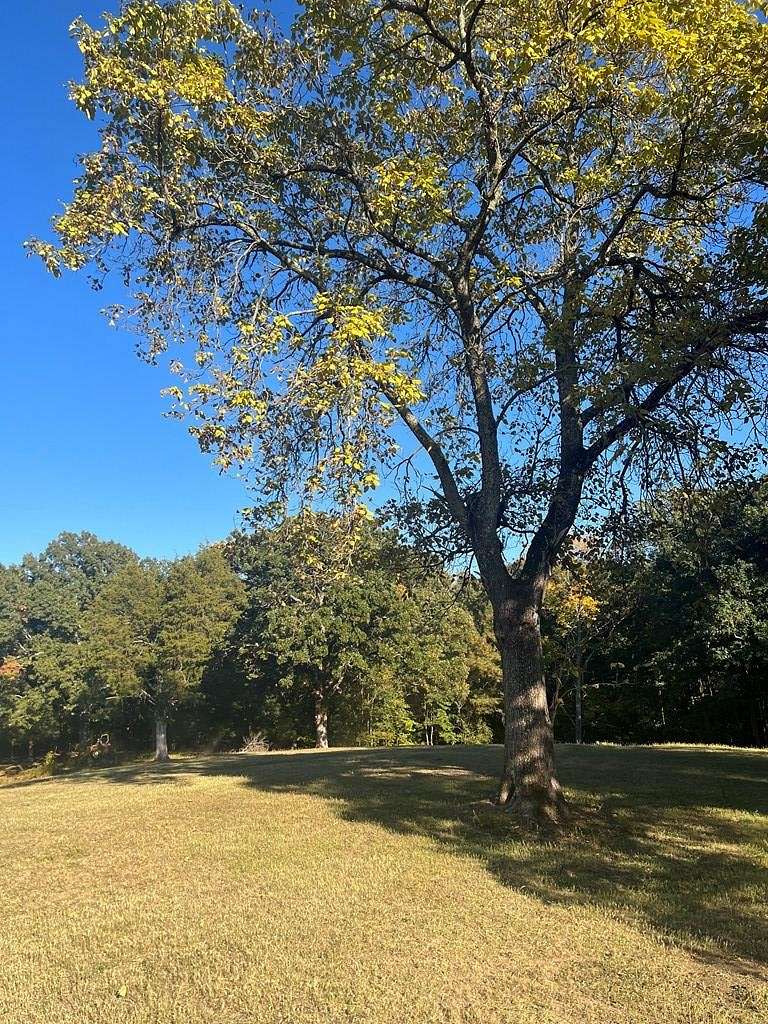 15.7 Acres of Land for Sale in Big Sandy, Tennessee