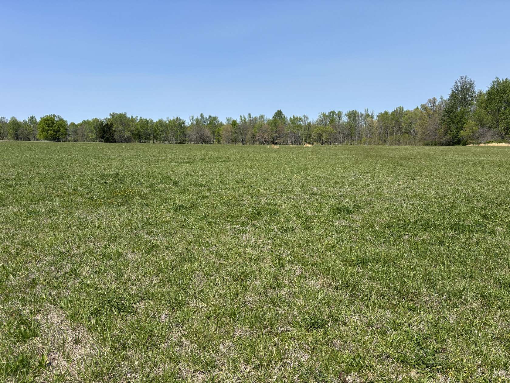 13 Acres of Land for Sale in Bradyville, Tennessee