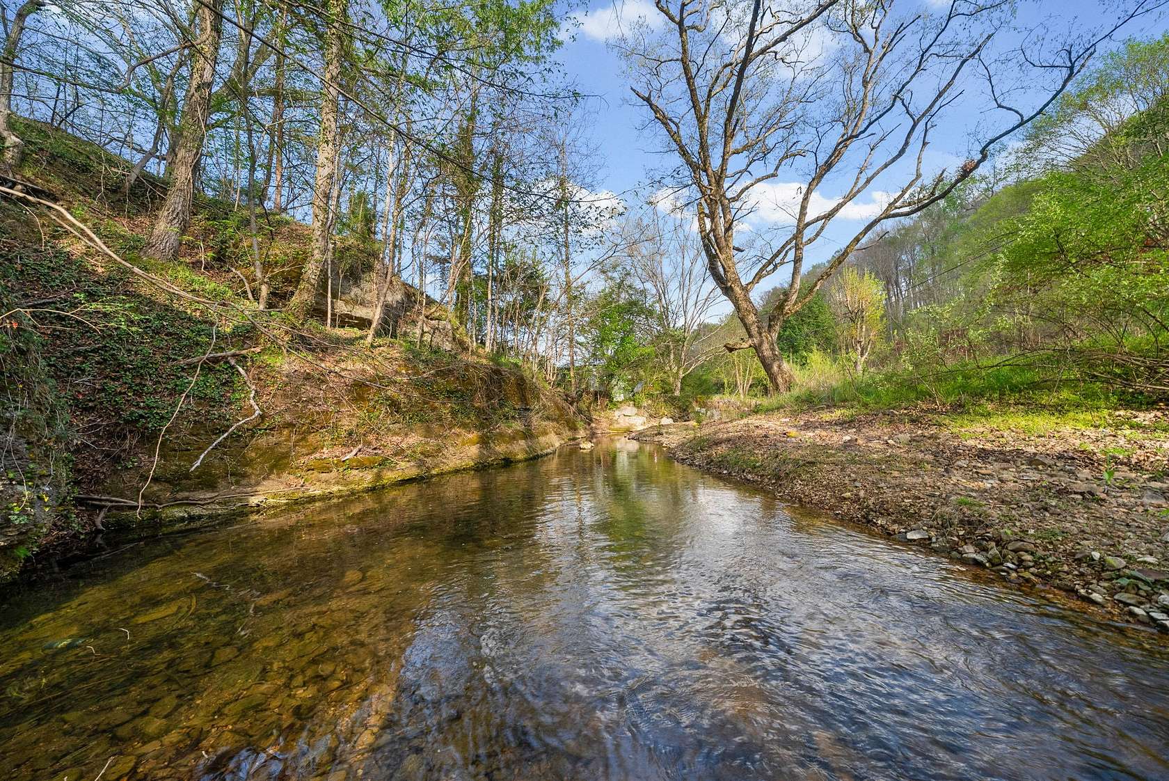 7.18 Acres of Residential Land for Sale in Erin, Tennessee