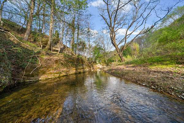 7.18 Acres of Residential Land for Sale in Erin, Tennessee