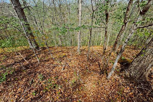 0.5 Acres of Residential Land for Sale in Smithville, Tennessee