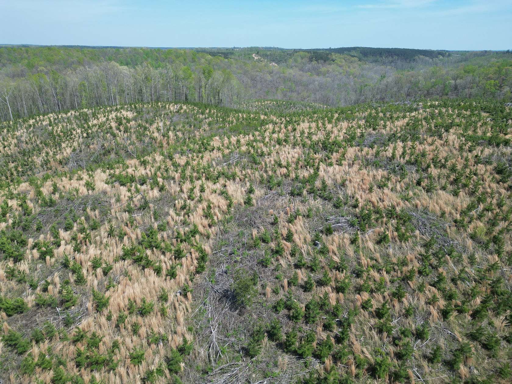 15 Acres of Land for Sale in Waynesboro, Tennessee