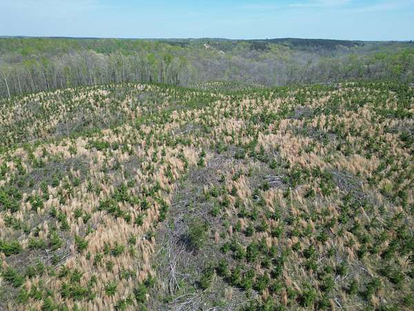 15 Acres of Land for Sale in Waynesboro, Tennessee