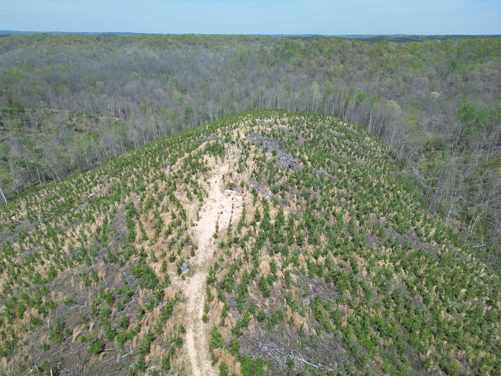 18.5 Acres of Land for Sale in Waynesboro, Tennessee