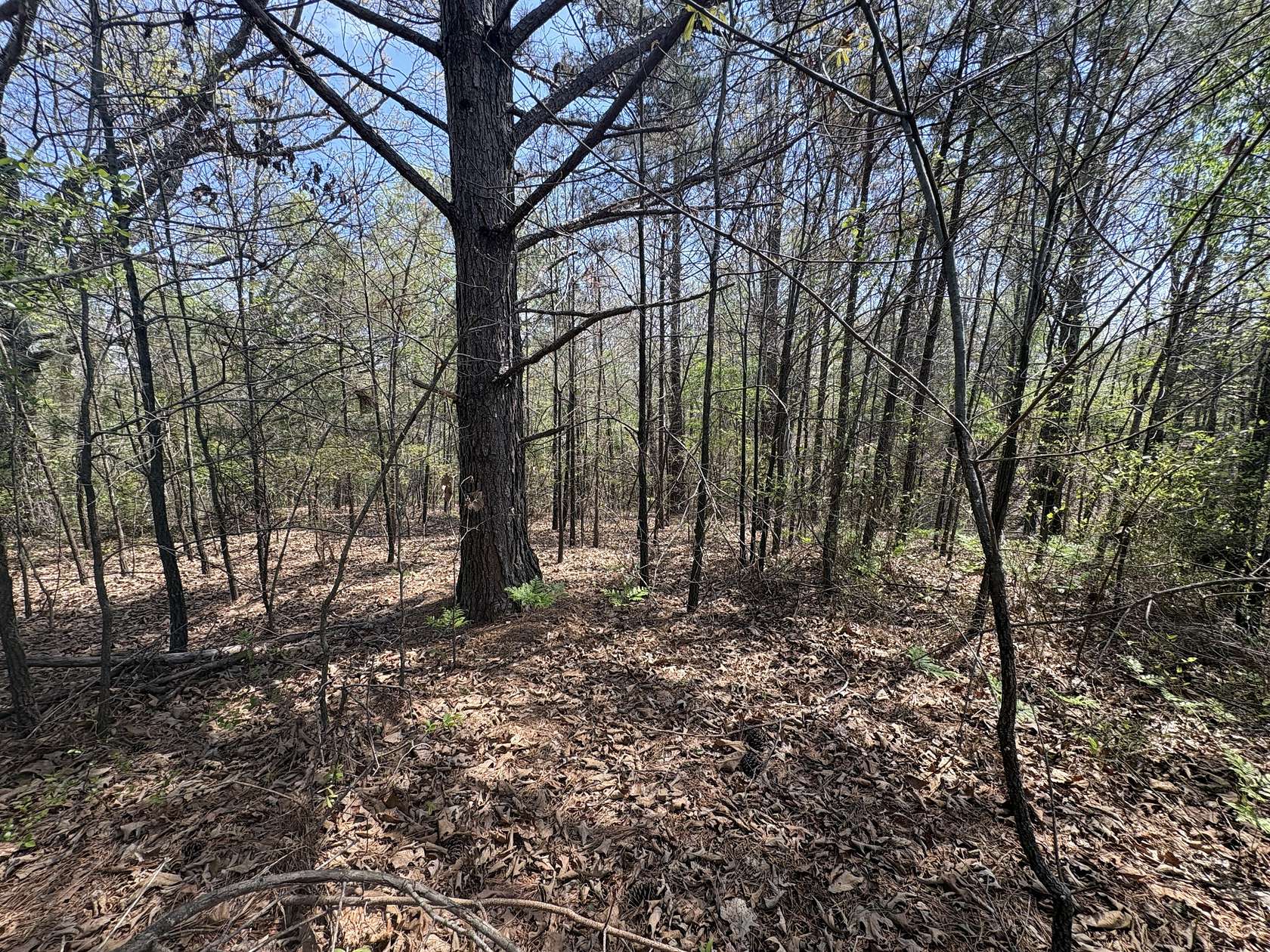 4.2 Acres of Residential Land for Sale in Hohenwald, Tennessee