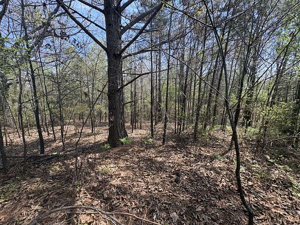 4.2 Acres of Land for Sale in Hohenwald, Tennessee