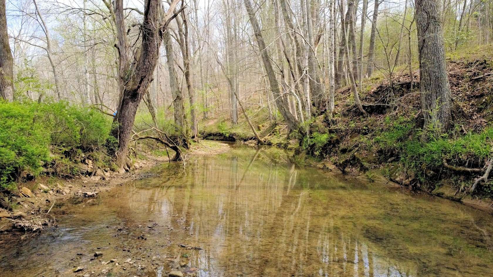 18.5 Acres of Land with Home for Sale in Dickson, Tennessee