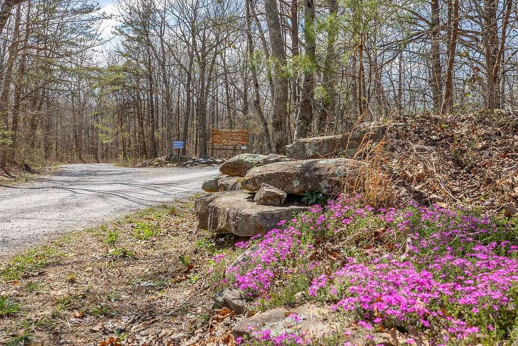 8 Acres of Residential Land for Sale in Altamont, Tennessee