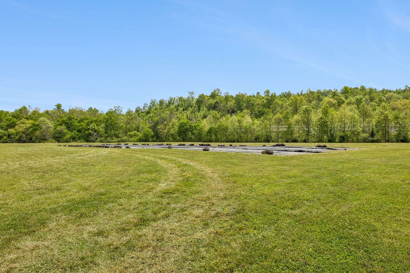 18.8 Acres of Improved Mixed-Use Land for Sale in Pulaski, Tennessee