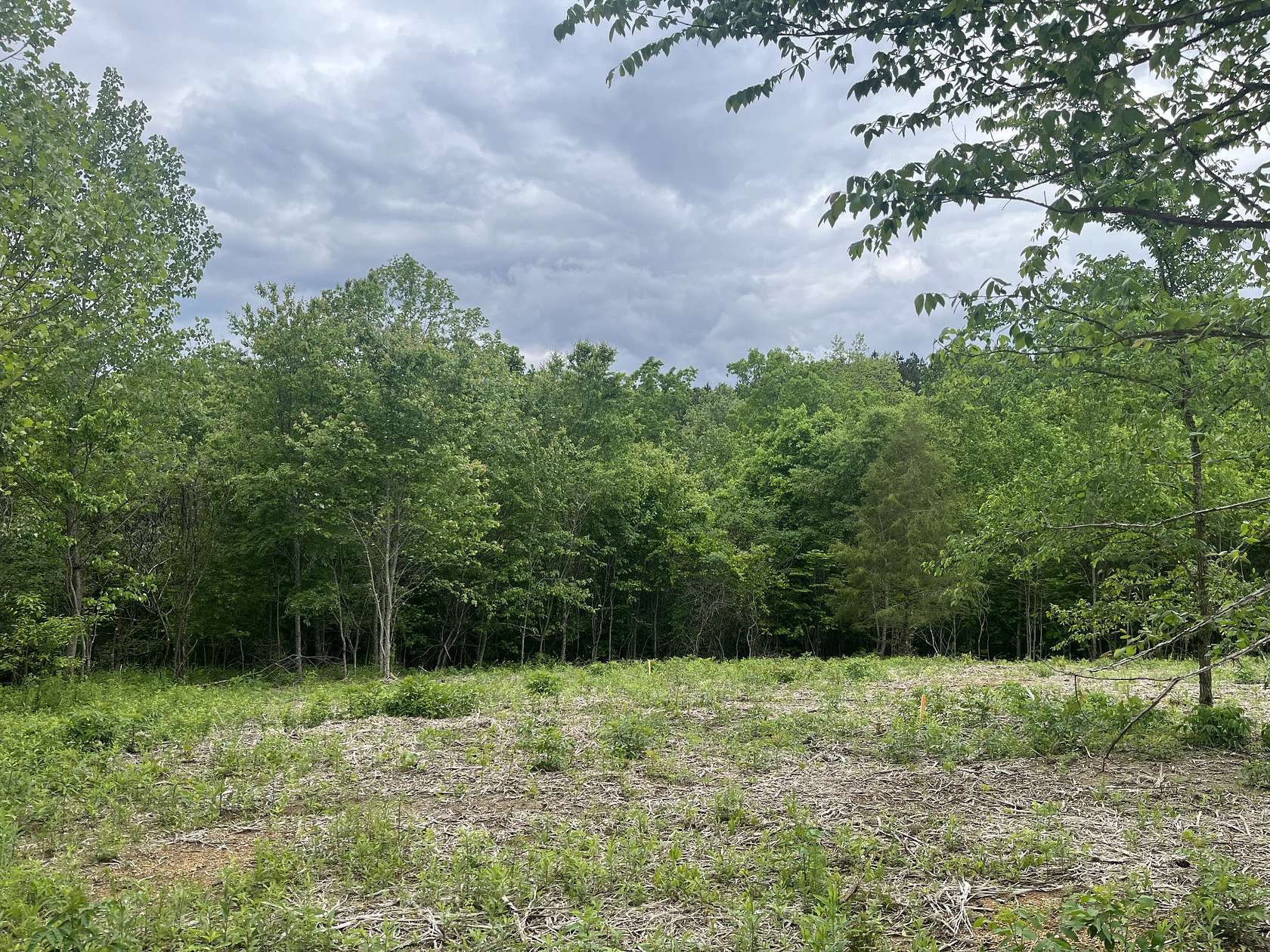 12 Acres of Recreational & Residential Land for Sale in Shady Grove, Tennessee