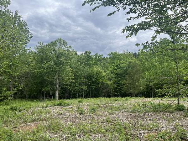 12 Acres of Recreational & Residential Land for Sale in Shady Grove, Tennessee