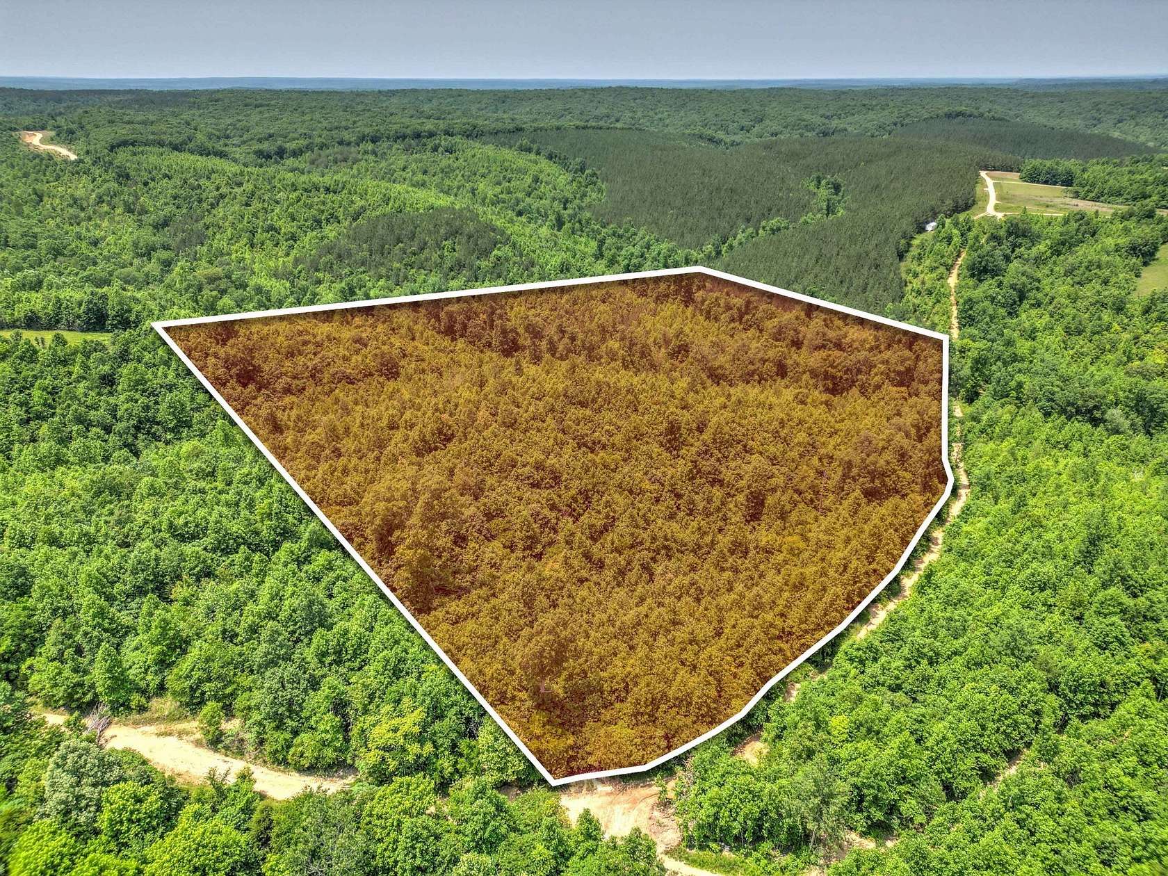 17.2 Acres of Land for Sale in Hampshire, Tennessee