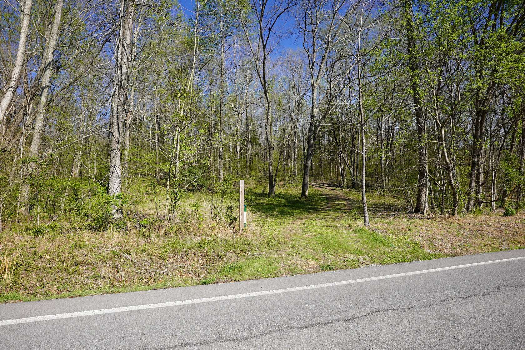 15 Acres of Recreational & Residential Land for Sale in Tennessee Ridge, Tennessee