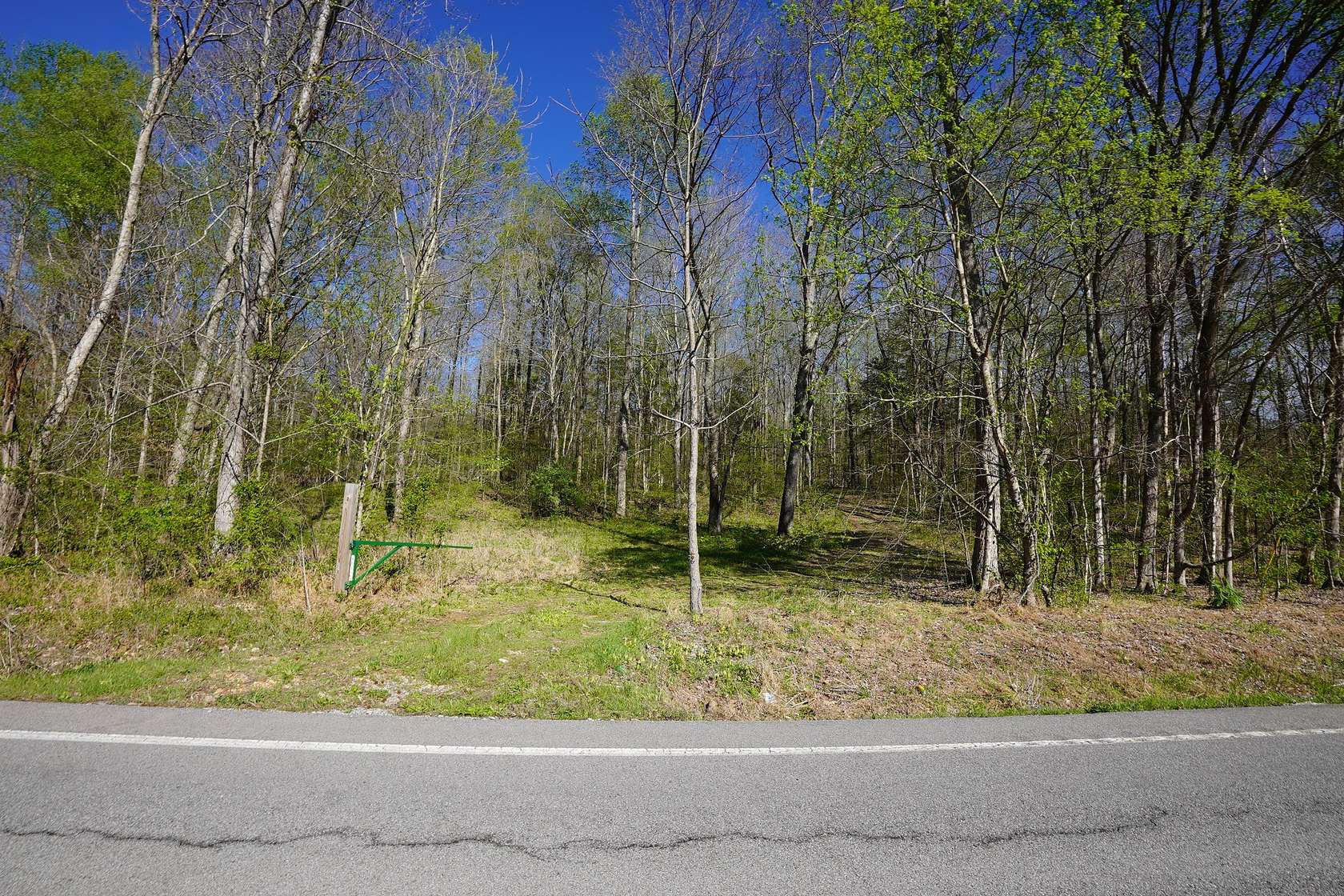 15 Acres of Recreational & Residential Land for Sale in Tennessee Ridge, Tennessee