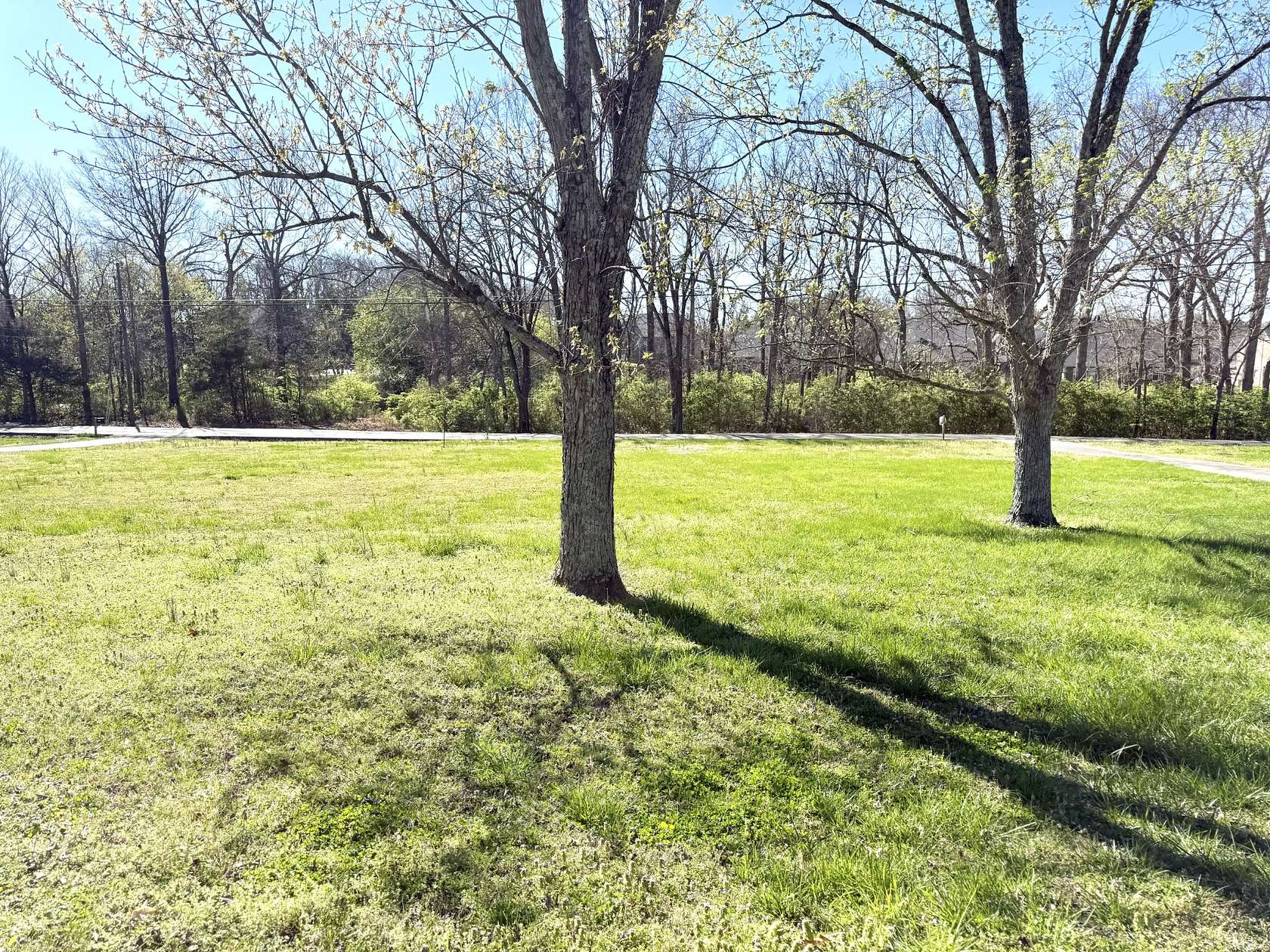 4.5 Acres of Residential Land for Sale in Brentwood, Tennessee