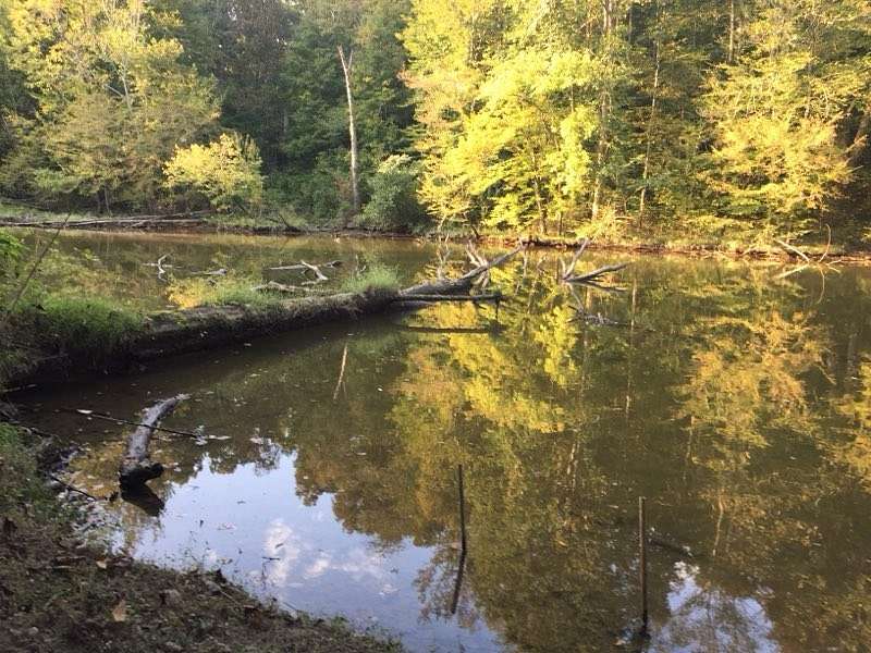 0.14 Acres of Residential Land for Sale in Chapmansboro, Tennessee