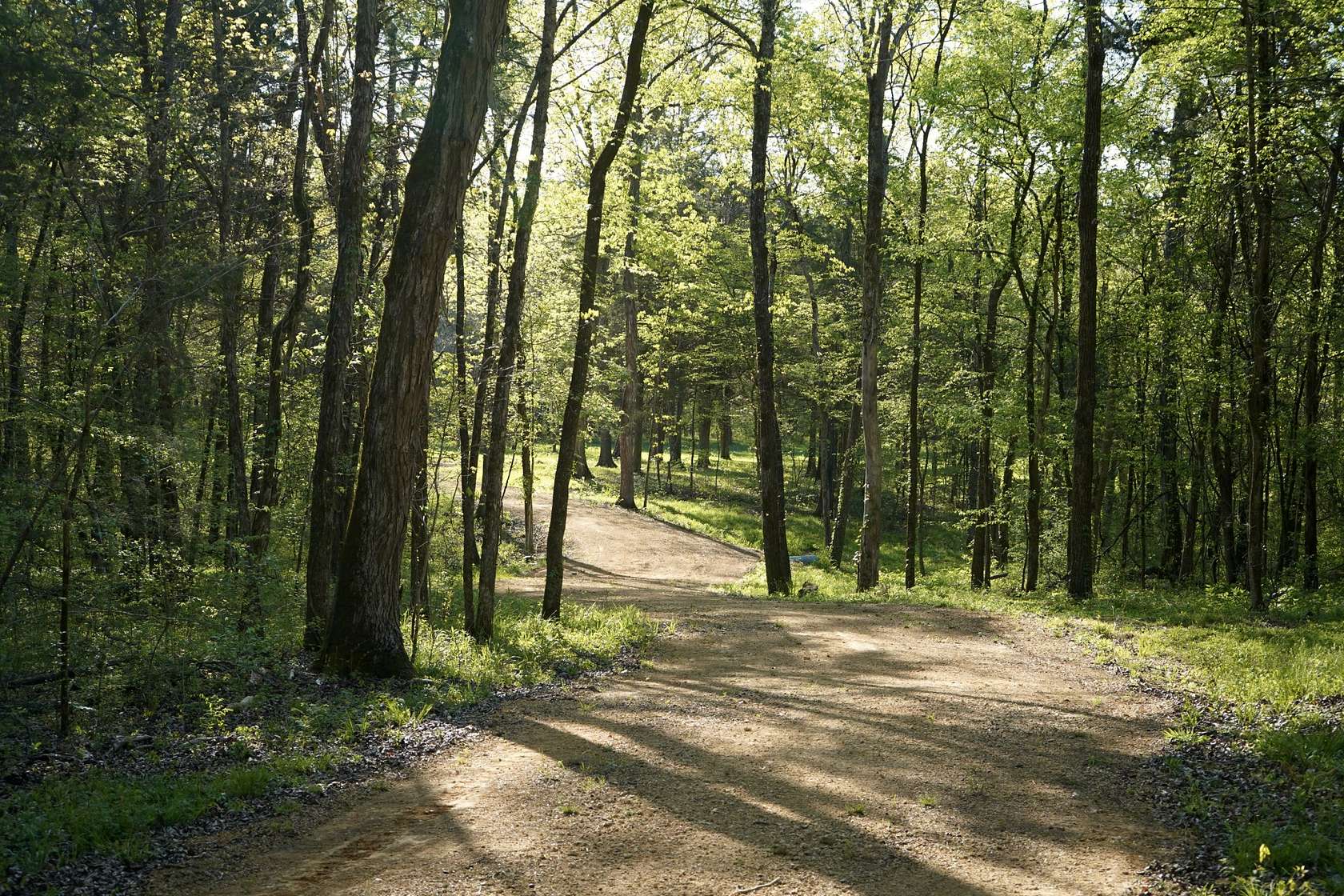 35.6 Acres of Recreational & Residential Land for Sale in Columbia, Tennessee