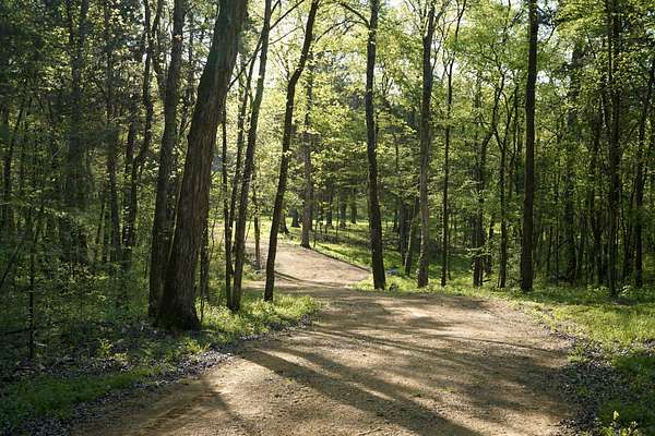 35.6 Acres of Recreational & Residential Land for Sale in Columbia, Tennessee