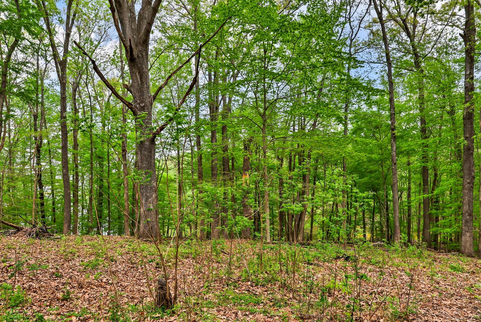 1 Acre of Residential Land for Sale in Bumpus Mills, Tennessee