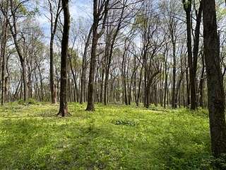 27.9 Acres of Recreational & Residential Land for Sale in Columbia, Tennessee