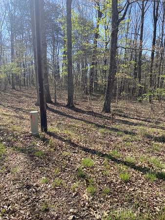 10 Acres of Land for Sale in Sewanee, Tennessee