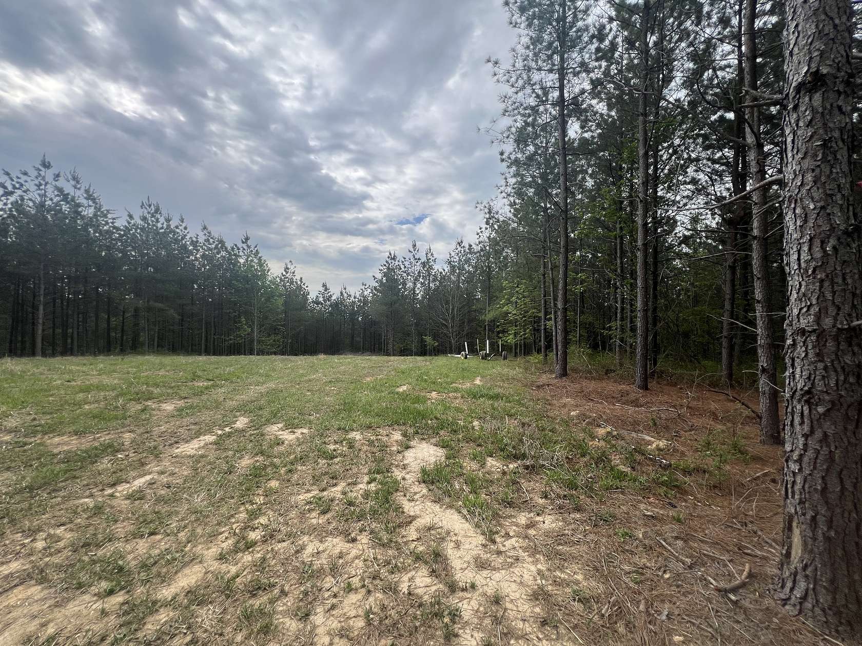 5 Acres of Residential Land for Sale in Erin, Tennessee